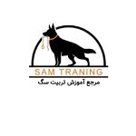 نمونه